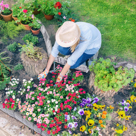 DARFULA 40-piece border set and stakes enable versatile yard decor
