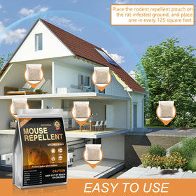 Dark Master pouch in attic or basement storage for long lasting defense