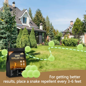 Dark Master repellent along garden path for perimeter protection