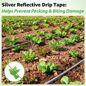 DarkTank irrigation can save up to 80% water with direct-to-root delivery.