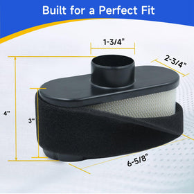 DASARYA FR651V fuel filter protects fuel system from contaminants.