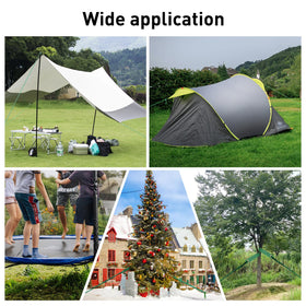 DasTior tree stake system helps guide growth without restricting natural shape.
