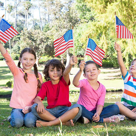 Datconect flag on stick, 5x8 inch, perfect for ceremonies and patriotic displays