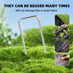 DaTpuik sharp-end stakes pierce turf with minimal effort.