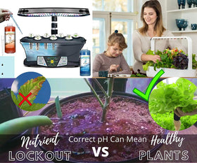 Dave Ocean33 pH Down bottle for precise pH control in growing media.