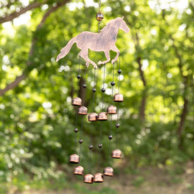 Easy to hang on porches, fences, or garden arches with a sturdy hook.