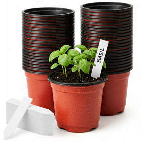Dayify 100-pack 4-inch nursery pots ready for seed starting and transplanting.
