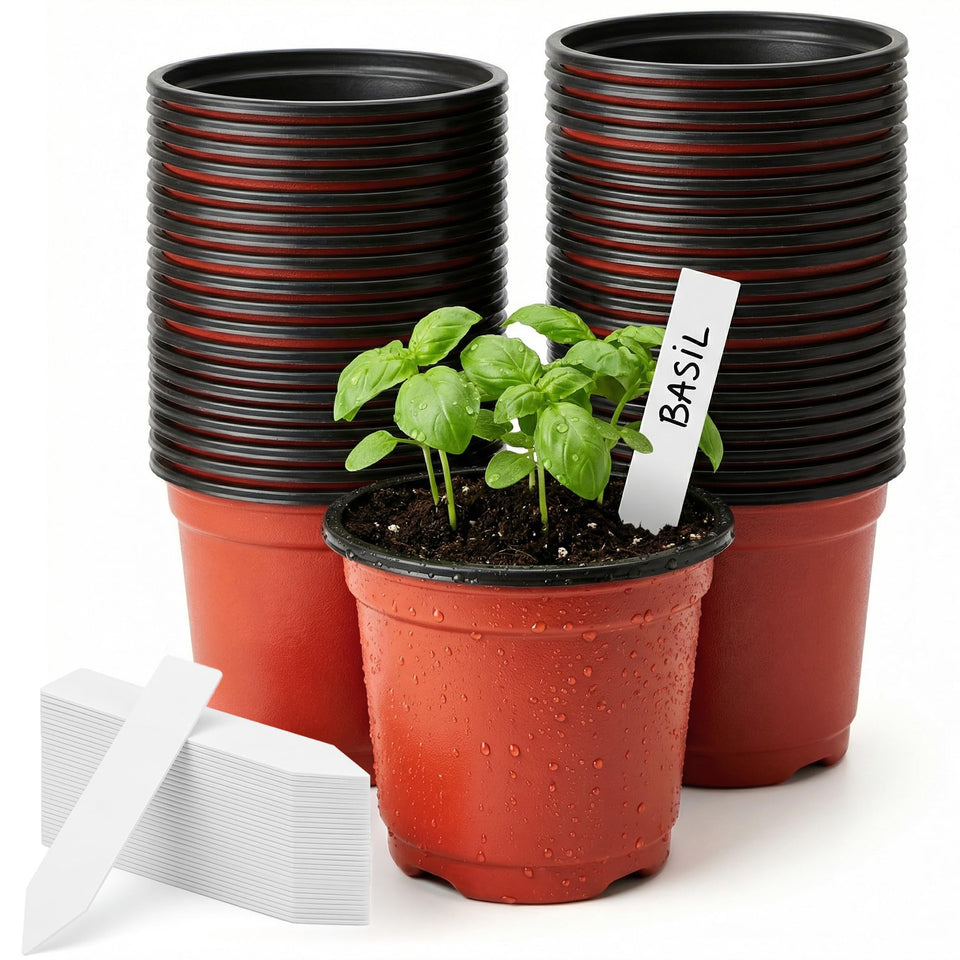 Dayify 100-pack 4-inch nursery pots ready for seed starting and transplanting.