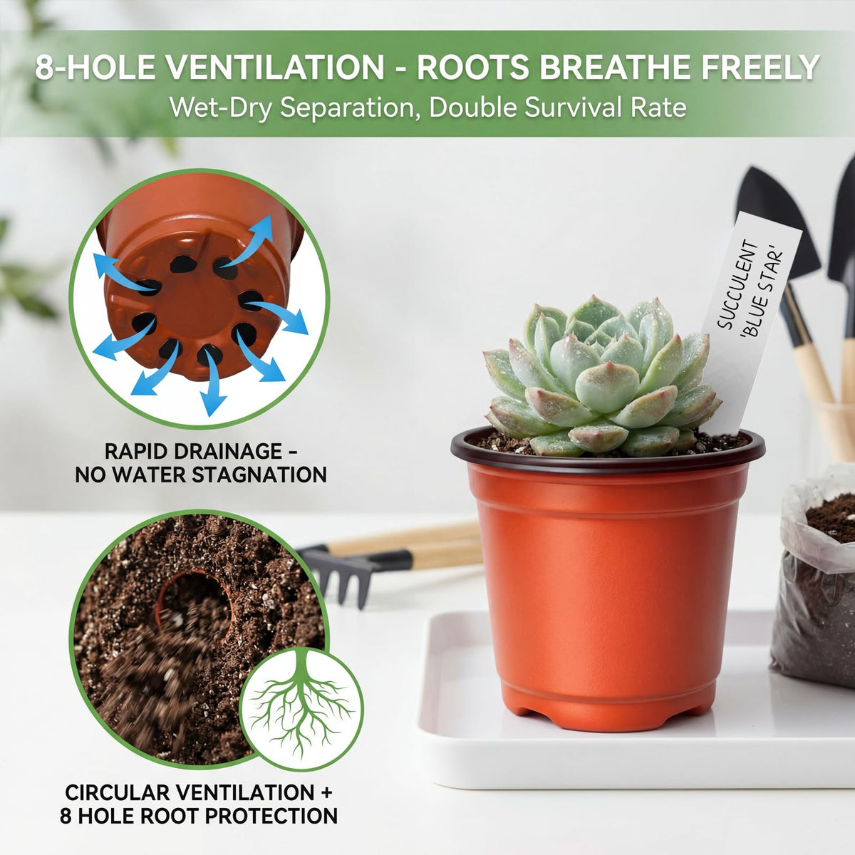 Dayify pots feature 2.6-inch bottom diameter for stable growth.