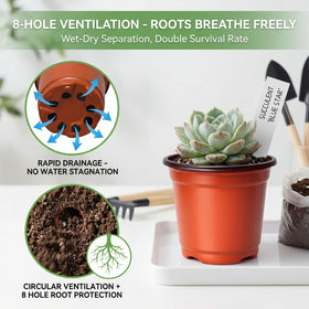Dayify pots feature 2.6-inch bottom diameter for stable growth.
