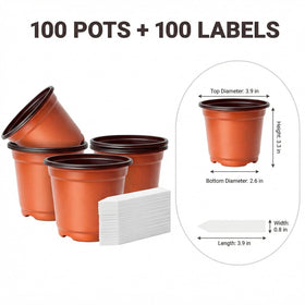 Dayify plant labels 100-pack helps track plant varieties clearly.