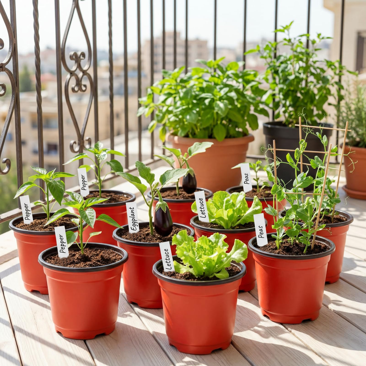 Dayify versatile indoor-outdoor pots suit windowsill herbs and backyard beds.