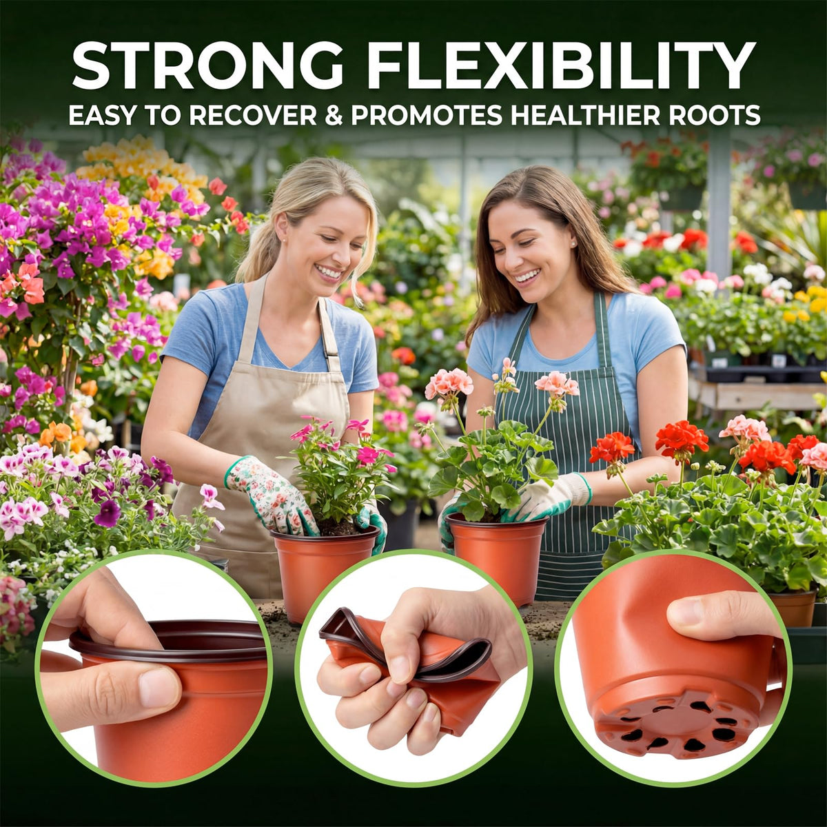 Dayify seed starter pots with eight drainage holes promote healthy root airflow.