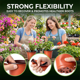Dayify seed starter pots with eight drainage holes promote healthy root airflow.