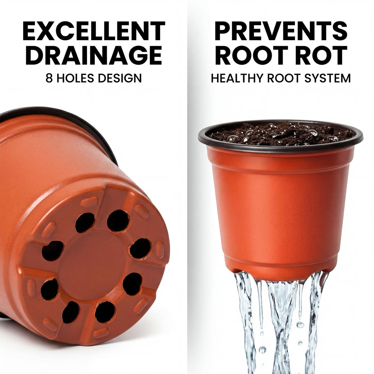 Dayify 4-inch seed starting pots ideal for herbs, cuttings, and small plants.