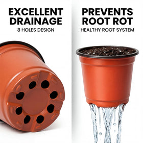 Dayify 4-inch seed starting pots ideal for herbs, cuttings, and small plants.