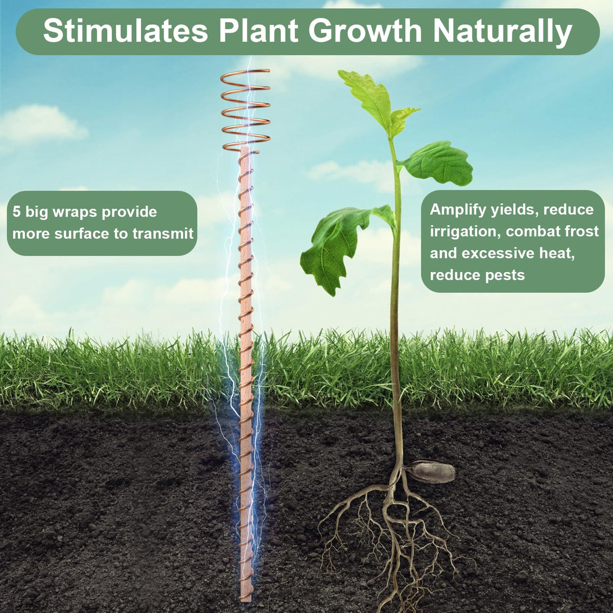 Dayimado 17-inch stake provides tall, sturdy garden support for beds.