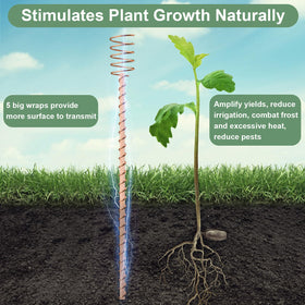 Dayimado 17-inch stake provides tall, sturdy garden support for beds.