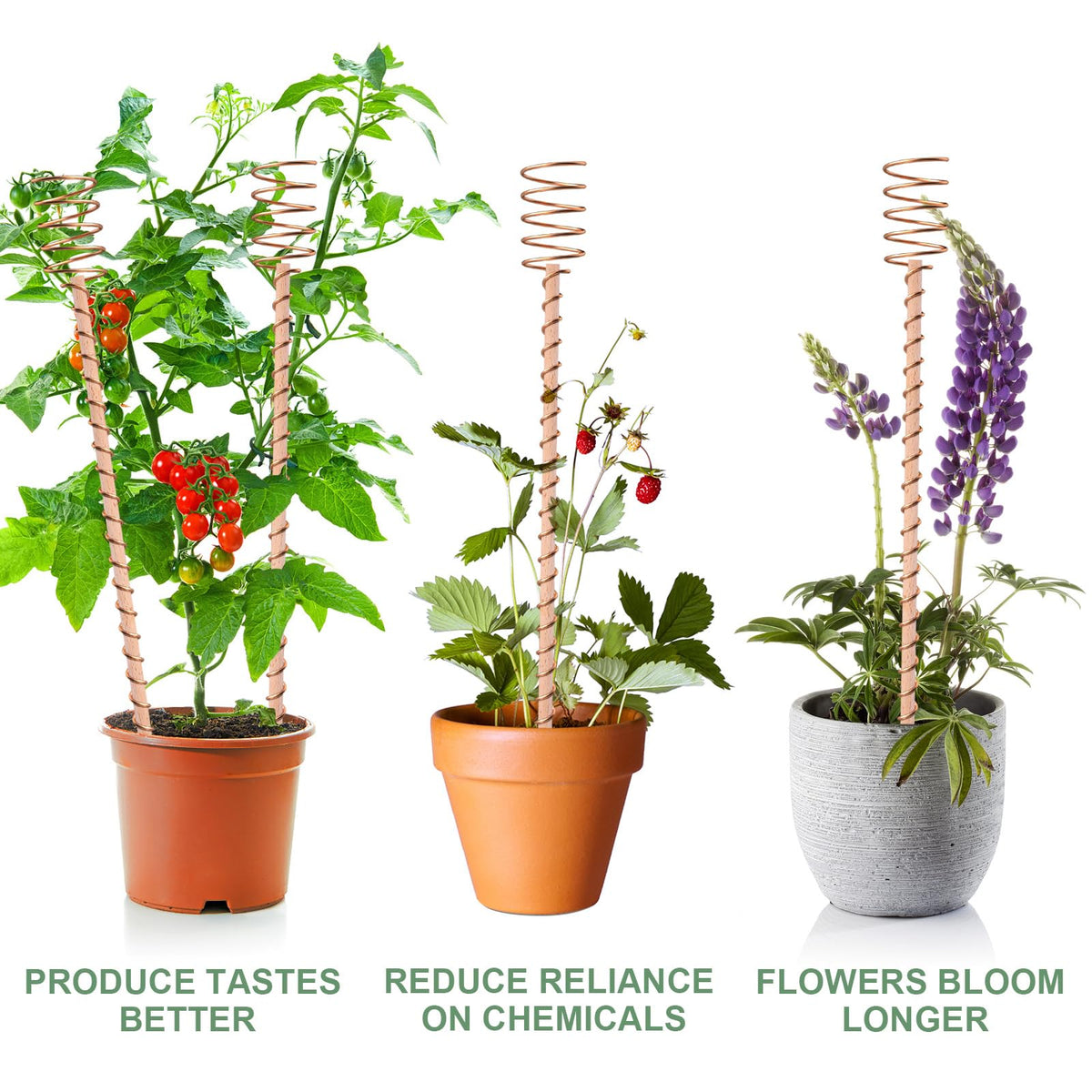 Dayimado clockwise-wind design tailored for northern hemisphere gardens.