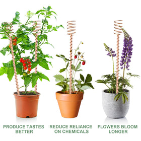 Dayimado clockwise-wind design tailored for northern hemisphere gardens.