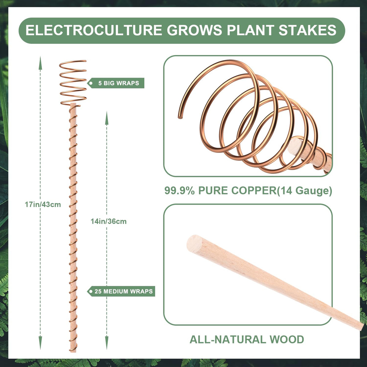 Dayimado copper-wire coil antenna enhances plant energy capture around the stem.