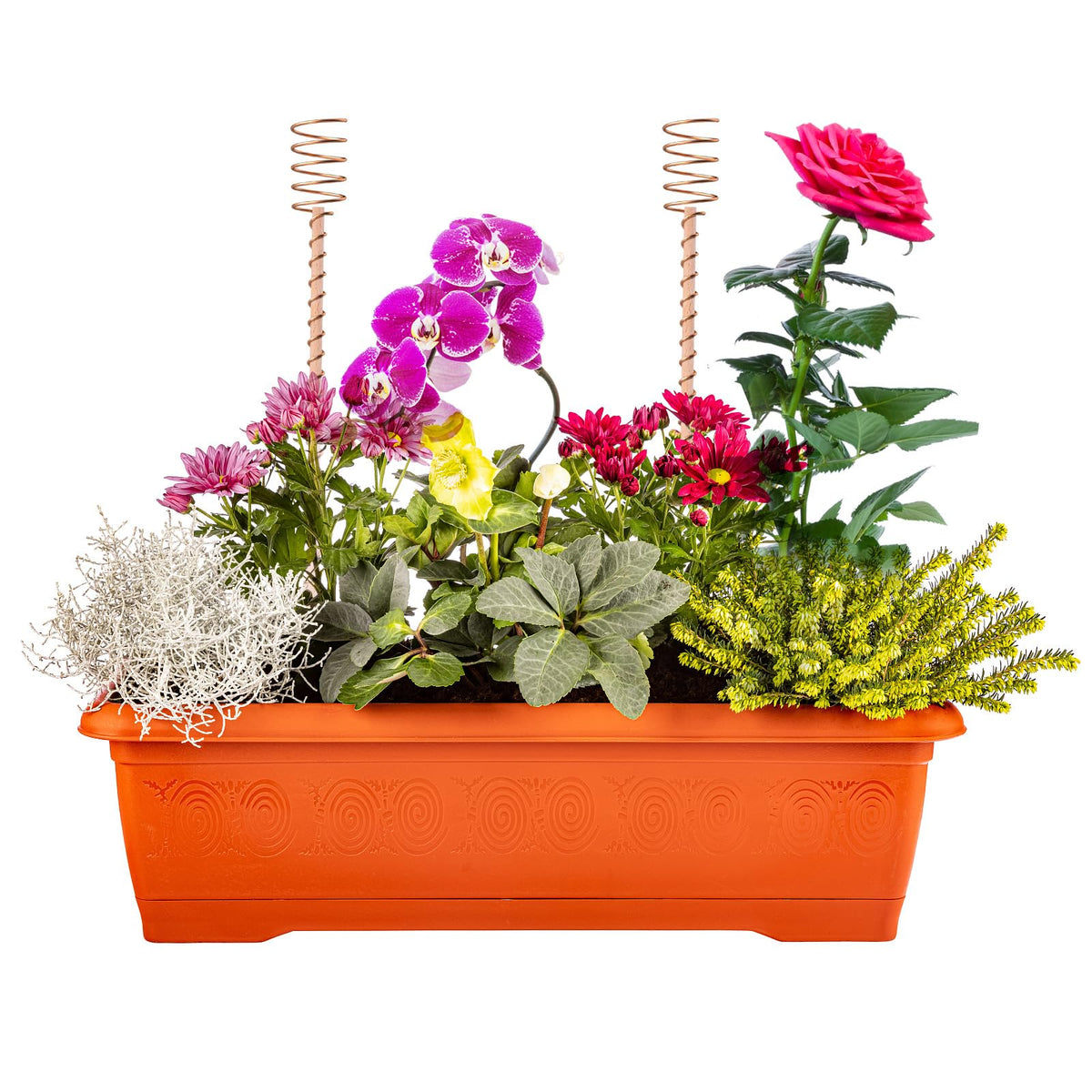 Dayimado eco-friendly solution supports sustainable growing without harsh chemicals.