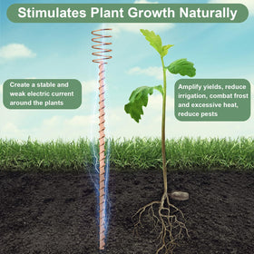 Dayimado stake insertion into soil illustrating easy installation