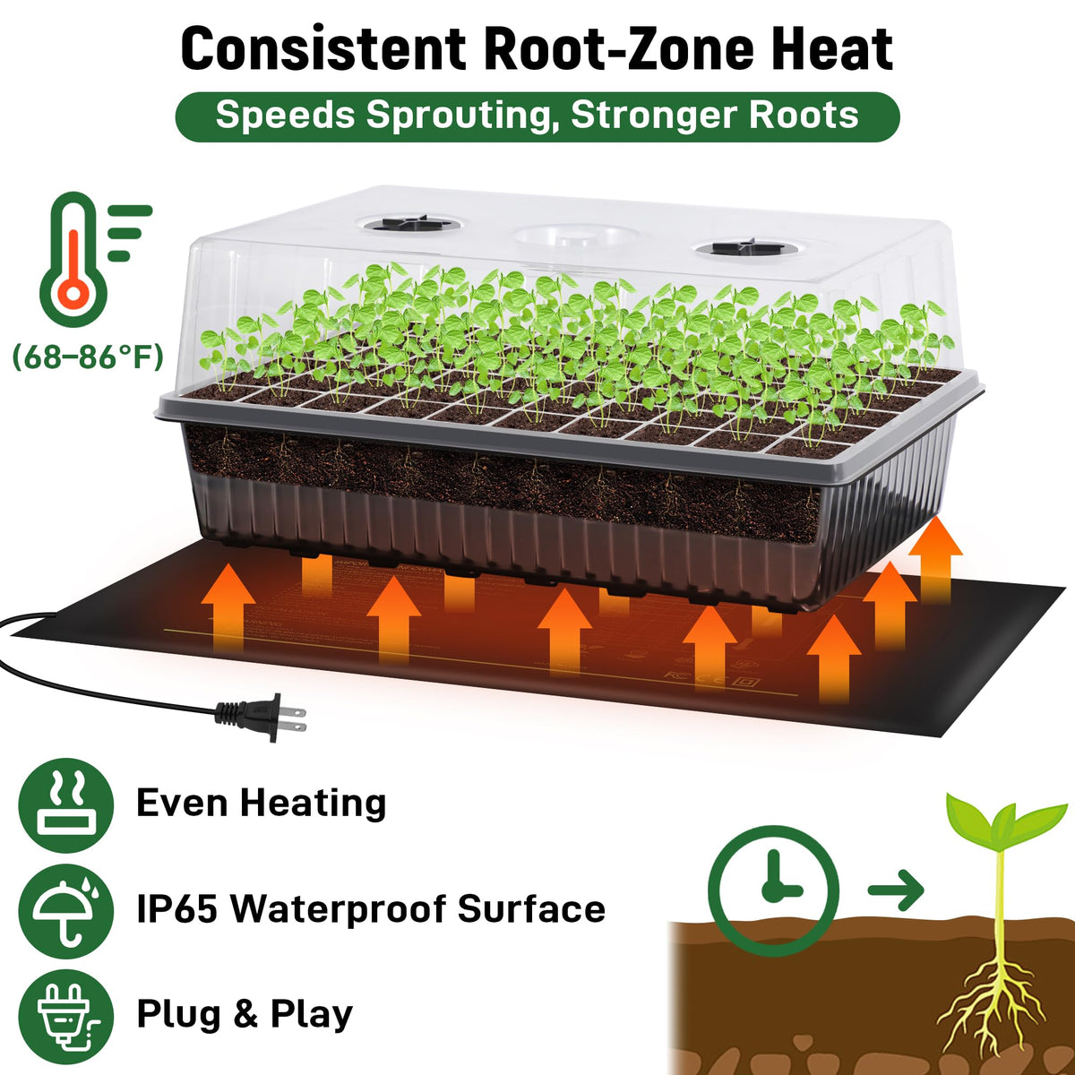 DazSpirit humidity dome creates a stable microclimate around tender starts.