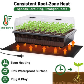 DazSpirit humidity dome creates a stable microclimate around tender starts.