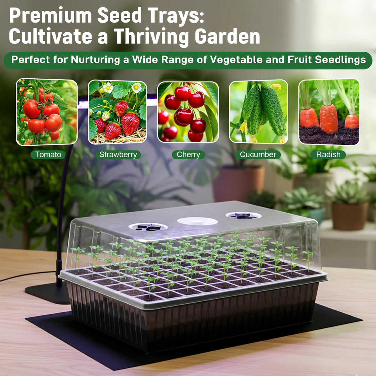 DazSpirit mini gardening tools simplify seedling handling and care tasks.