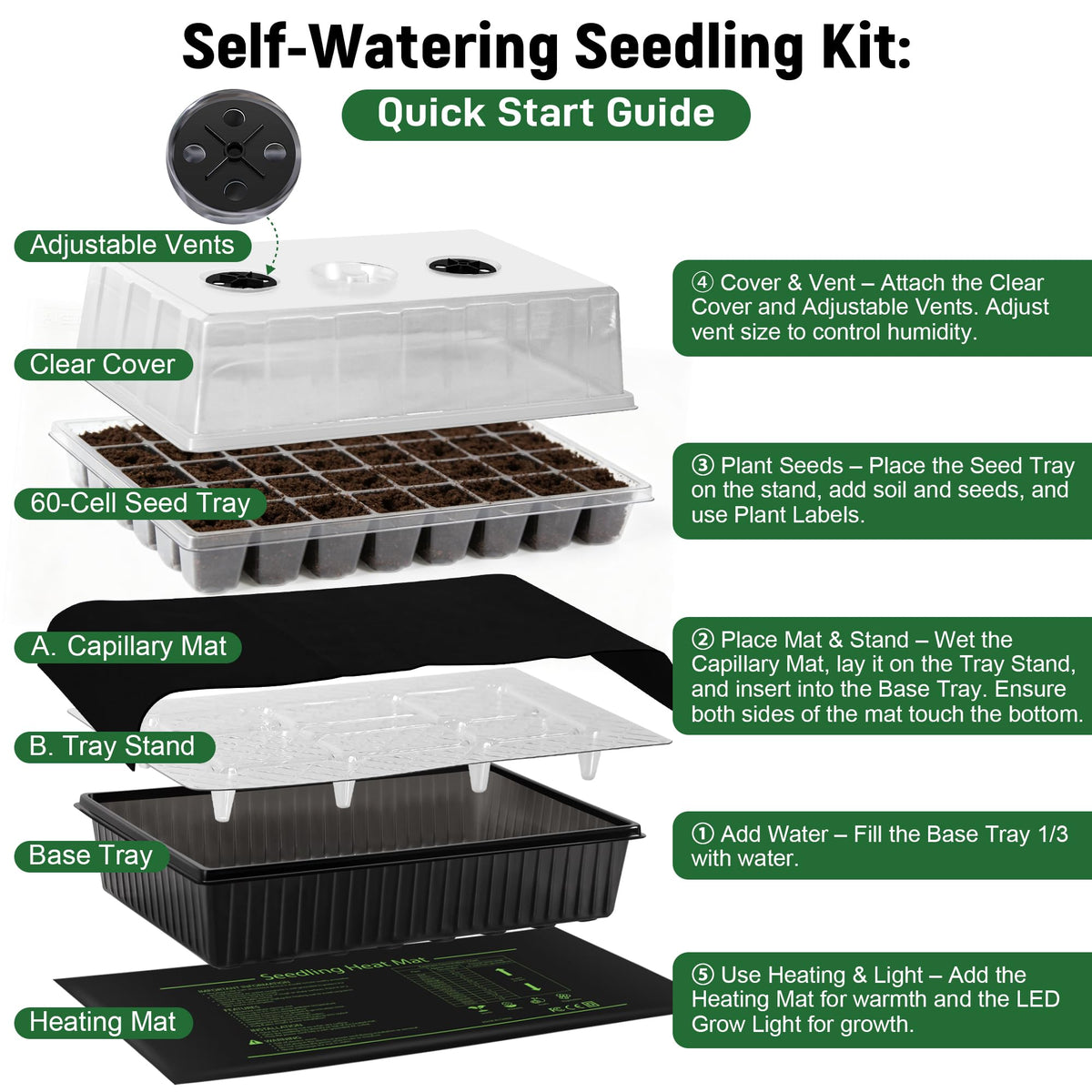 DazSpirit seedling-tray setup showcases a complete indoor germination system.