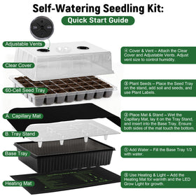 DazSpirit seedling-tray setup showcases a complete indoor germination system.