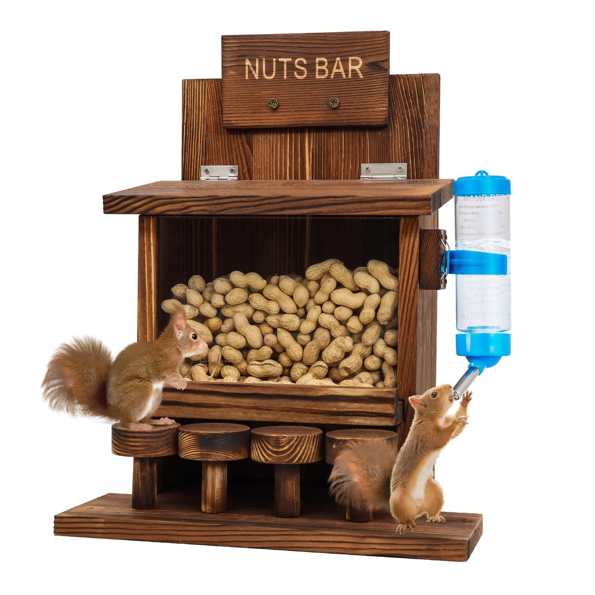 DAZUINIAO Squirrel Feeder on an outdoor wooden table attracts wildlife securely.