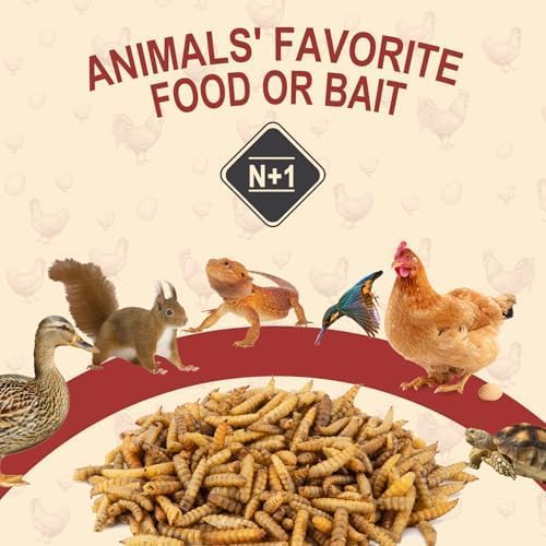 Backyard flocks and wild birds benefit from nutrient-dense BSF treats.