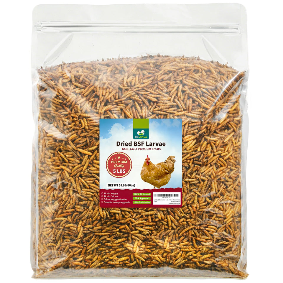 DE AVILA BSF larvae for chickens in a 5lb bulk bag, high-protein feed option.