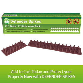 De-Bird 12-piece spikes blend with outdoor décor while remaining discreet.