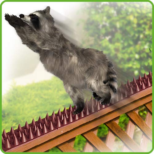De-Bird Bird deterrent helps deter squirrels and cats at garden edges.