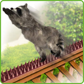 De-Bird Bird deterrent helps deter squirrels and cats at garden edges.