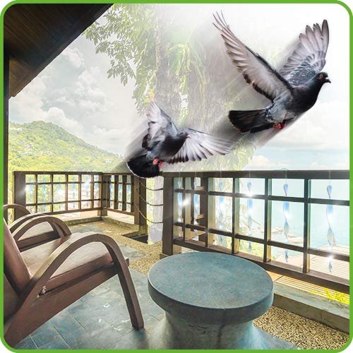 De-Bird deterrent rod guards garden borders from birds.