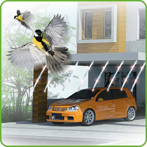 De-Bird versatile deterrent for turkeys pigeons and geese in outdoor spaces