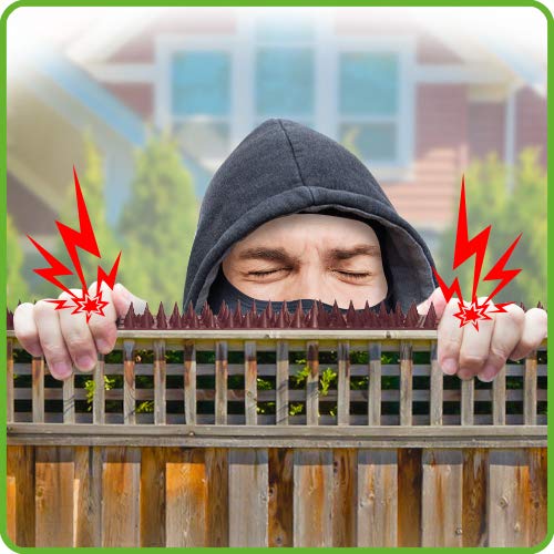 De-Bird Weatherproof spikes endure rain and sun for durable outdoor protection.