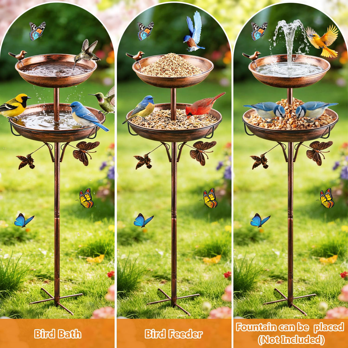 DECLUTTR ideal gift for bird lovers to enjoy backyard visits.