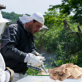 DECOHS natural-smoke beekeeping supports safer hive checks.