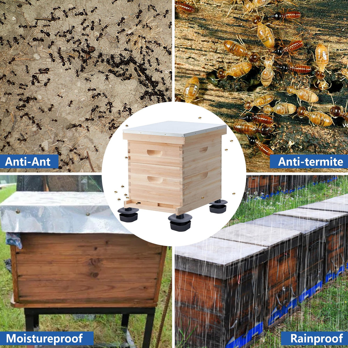 Easy-installation DECOHS beehive stand enables quick hive setup.