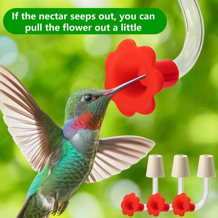 DECOHS DIY hummingbird feeder kit enables custom garden setups.