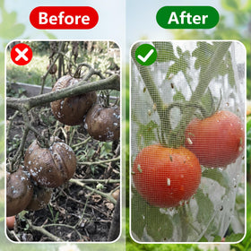 DECOHS durable garden netting offers tear resistance for long-term outdoor use.