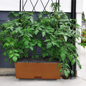 DECOHS ideal for garden, backyard, patio planter boxes