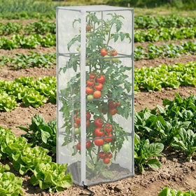 DECOHS versatile protection for indoor and outdoor climbing plants.