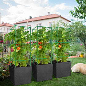 DECOHS versatile plant frames suit tomatoes, cucumbers, peppers and more.
