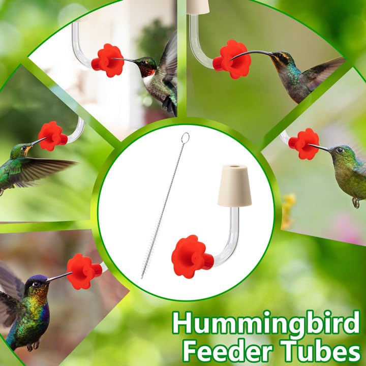 DECOHS outdoor bird feeder accessory fits a variety of glass feeders.